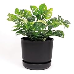 Elly décor inch for sale  Delivered anywhere in USA 