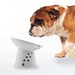 Necoichi raised dog for sale  Delivered anywhere in USA 