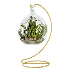 Fosinz ornament display for sale  Delivered anywhere in USA 