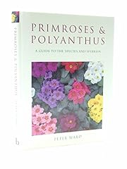 Primrose polyanthus guide for sale  Delivered anywhere in Ireland