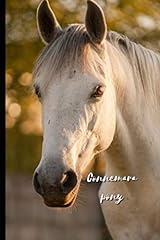 Connemara pony journal for sale  Delivered anywhere in USA 