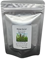 Sheep sorrel herb for sale  Delivered anywhere in USA 