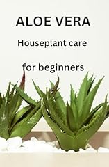 Aloe vera houseplant for sale  Delivered anywhere in USA 