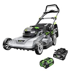 Ego power electric for sale  Delivered anywhere in USA 