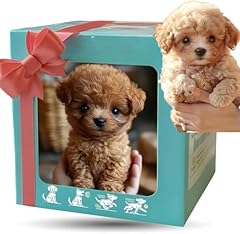 Robot dog 2025 for sale  Delivered anywhere in UK