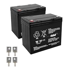 Casil 12v 55ah for sale  Delivered anywhere in USA 