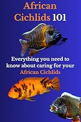 African cichlids 101 for sale  Delivered anywhere in UK