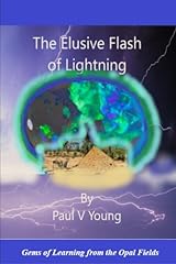 The elusive flash usato  Spedito ovunque in Italia 