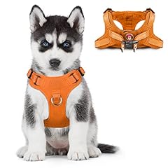 Dog harness step for sale  Delivered anywhere in USA 