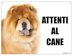Chow chow attenti usato  Spedito ovunque in Italia 