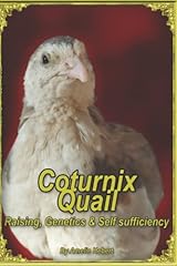 Coturnix quail raising for sale  Delivered anywhere in USA 