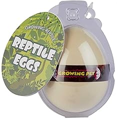Ravensden reptile egg for sale  Delivered anywhere in UK
