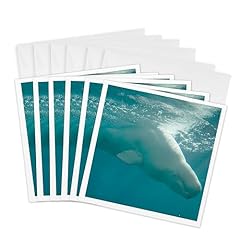 3drose greeting cards for sale  Delivered anywhere in USA 