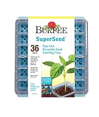 Burpee superseed seed for sale  Delivered anywhere in USA 