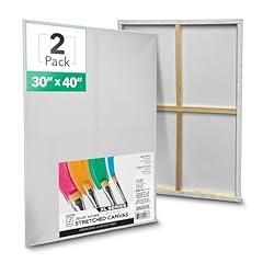 Artskills stretched canvases for sale  Delivered anywhere in USA 