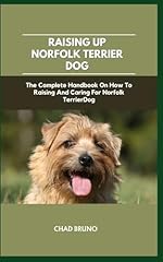 Norfolk terrier dog for sale  Delivered anywhere in UK