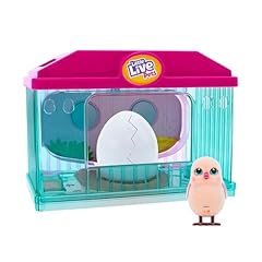 Little live pets for sale  Delivered anywhere in USA 