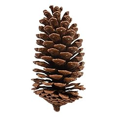 Trixes pine cone for sale  Delivered anywhere in UK