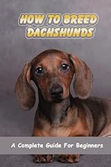 Breed dachshunds complete for sale  Delivered anywhere in USA 