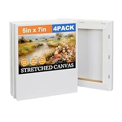 Pack stretched canvas for sale  Delivered anywhere in USA 