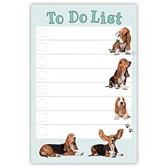 Daily ritmo basset for sale  Delivered anywhere in USA 