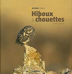 Hiboux chouettes d'occasion  Livré partout en Belgiqu