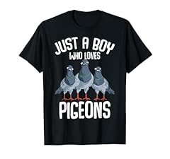 Boy loves pigeons for sale  Delivered anywhere in UK