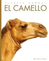 Camello camels usato  Spedito ovunque in Italia 