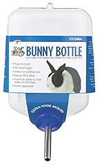 Little giant bunny for sale  Delivered anywhere in USA 