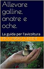 Allevare galline anatre usato  Spedito ovunque in Italia 