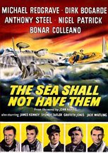 Sea shall for sale  Delivered anywhere in USA 