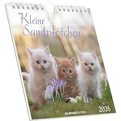 Kleine samtpfötchen 2026 gebraucht kaufen  Wird an jeden Ort in Deutschland