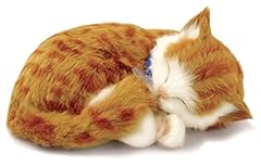 Perfect petzzz katze gebraucht kaufen  Wird an jeden Ort in Deutschland