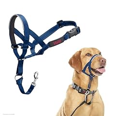Licol halti chien d'occasion  Livré partout en France