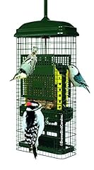 Squirrel buster suet for sale  Delivered anywhere in USA 