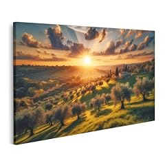 Islandburner prime quadro usato  Spedito ovunque in Italia 