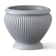 Arbora cannes urn for sale  Delivered anywhere in USA 
