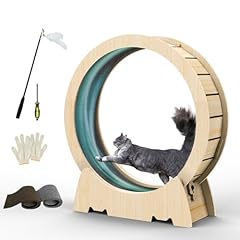 Cat exercise wheel for sale  Delivered anywhere in USA 