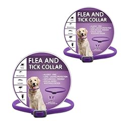 2pcs collar dogs for sale  Delivered anywhere in UK