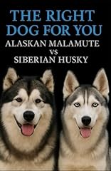 Right dog alaskan for sale  Delivered anywhere in UK