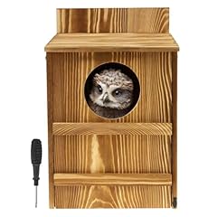 Owl house screech for sale  Delivered anywhere in UK
