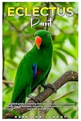 Eclectus parrot detailed for sale  Delivered anywhere in USA 