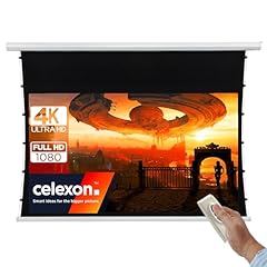 Celexon ivolum motor usato  Spedito ovunque in Italia 