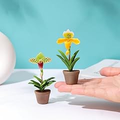Ablossom lady slipper for sale  Delivered anywhere in USA 