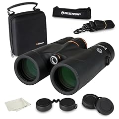 Celestron 71390 regal usato  Spedito ovunque in Italia 