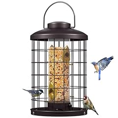Mosloly caged bird for sale  Delivered anywhere in USA 