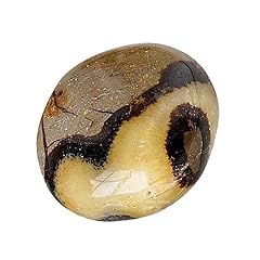 Natural septarian palm for sale  Delivered anywhere in USA 