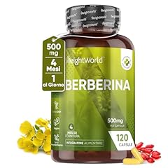 Berberina con 120 usato  Spedito ovunque in Italia 