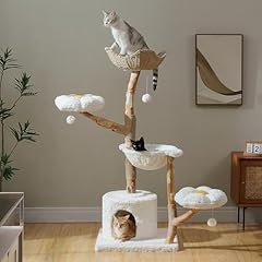 Muttros modern cat for sale  Delivered anywhere in USA 