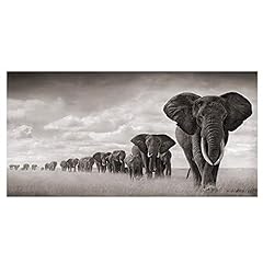 Elephant picture canvas for sale  Delivered anywhere in Canada